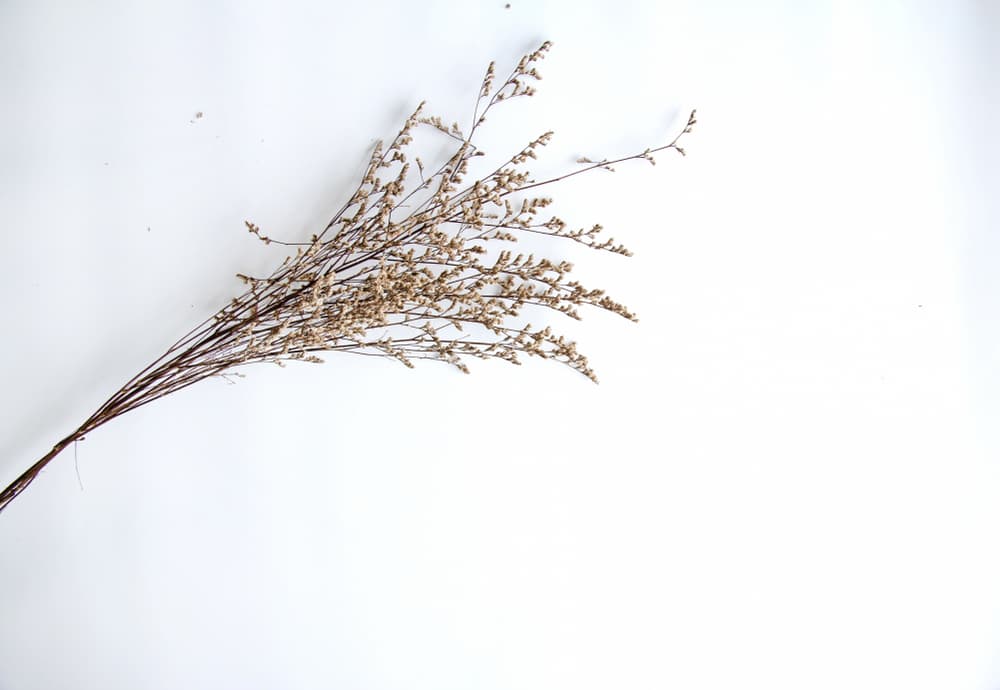 The Functional Benefits of Arm Reduction Surgery Beyond Aesthetics